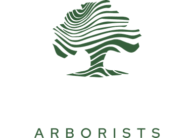 Carolina Arborists